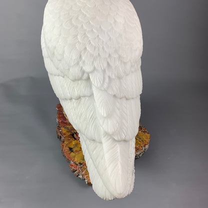 Snowy Owl