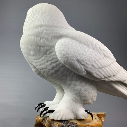 Snowy Owl