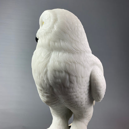 Snowy Owl