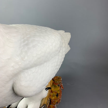 Snowy Owl