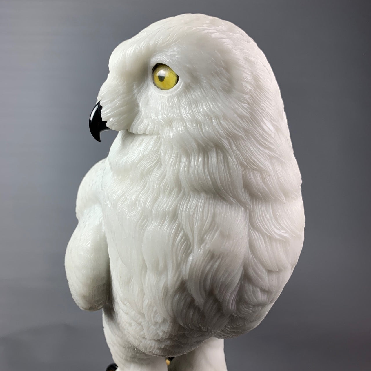 Snowy Owl