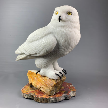 Snowy Owl