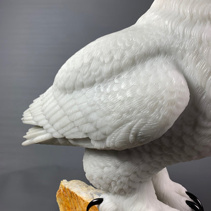 Snowy Owl