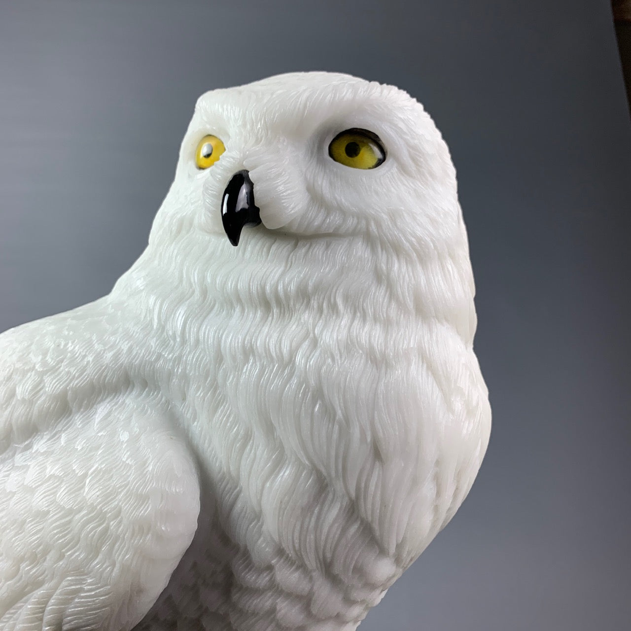 Snowy Owl