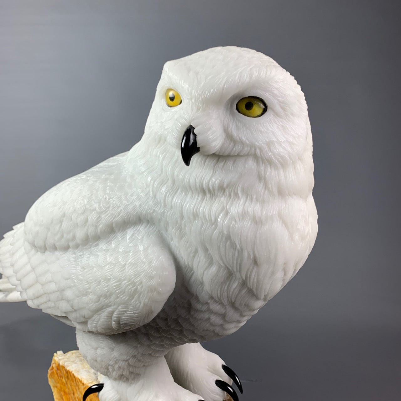 Snowy Owl