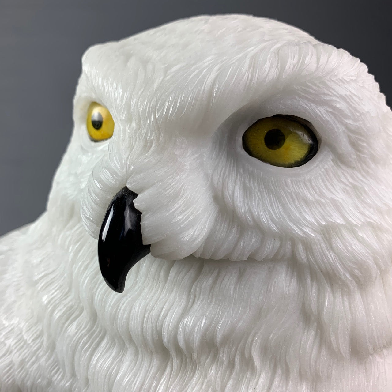 Snowy Owl