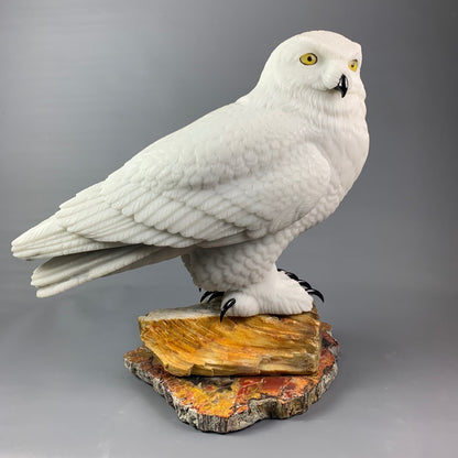 Snowy Owl