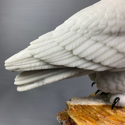 Snowy Owl