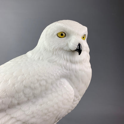 Snowy Owl