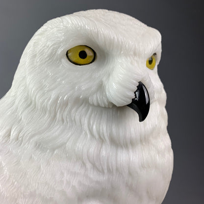 Snowy Owl