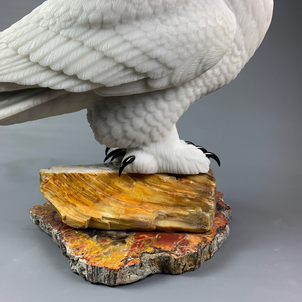 Snowy Owl