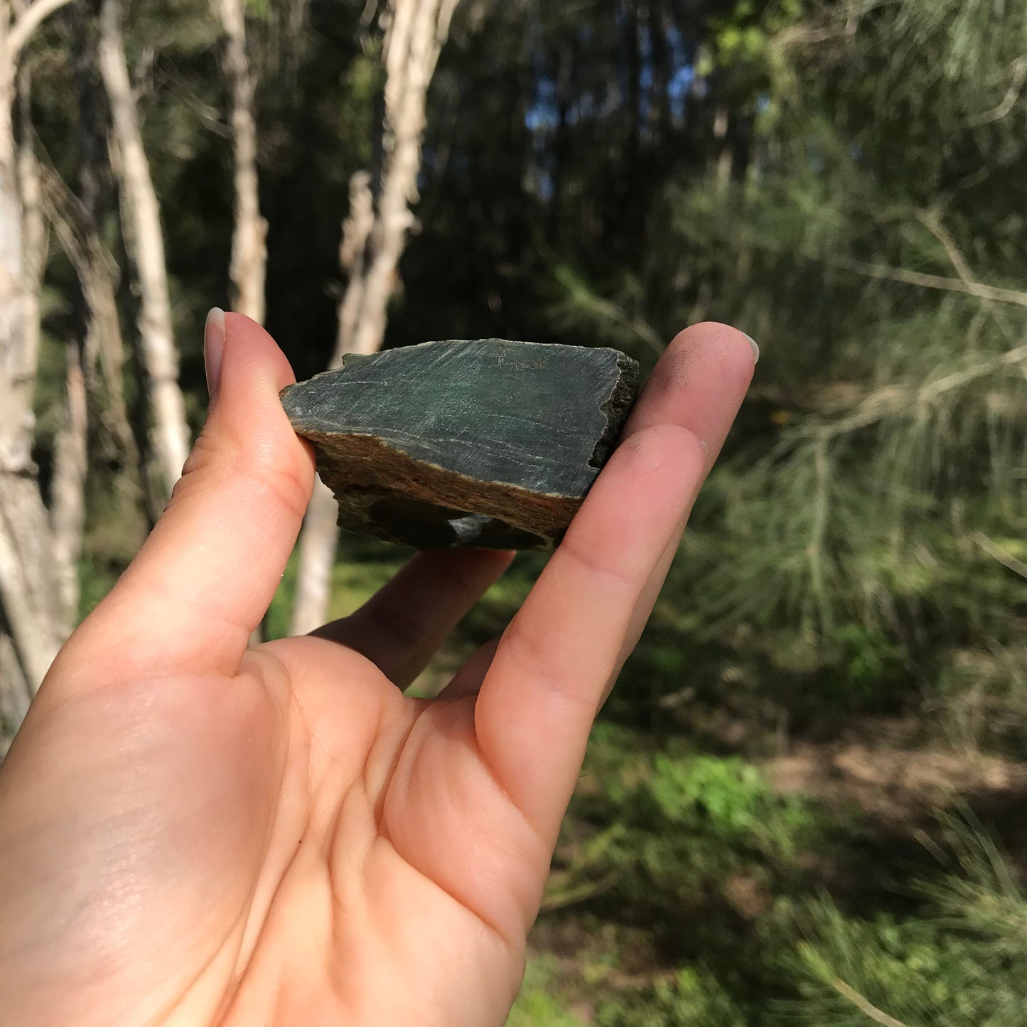 Carved paperweight (Canadian jade)