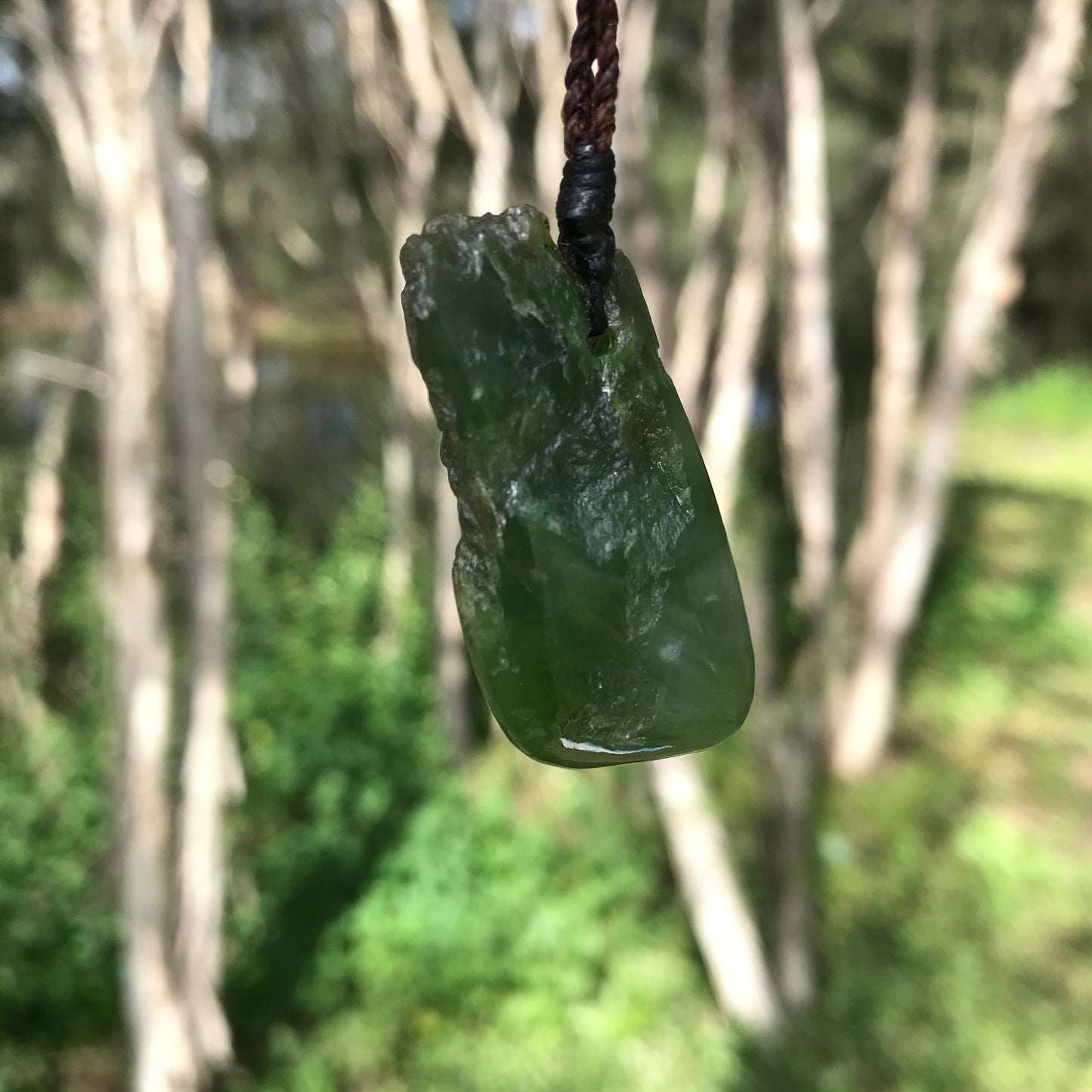 Raw form (Canadian jade) Pendant