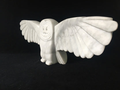 Marble Owl